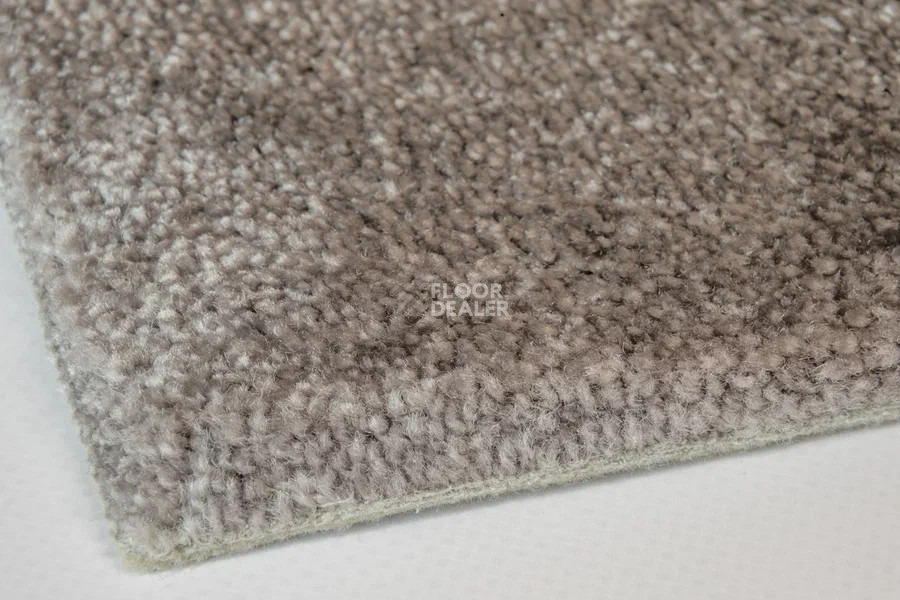 Vorwerk Superior 1064/Lyrica Vorwerk 5x81 фото 3 | FLOORDEALER